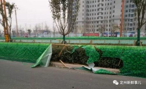 定州融媒置业爆料事件视频,揭秘背后真相 第3张 定州融媒置业爆料事件视频,揭秘背后真相 第3张