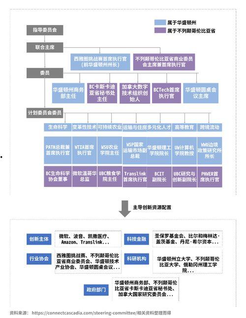 新闻共同体爆料案例,揭秘舆论监督的力量