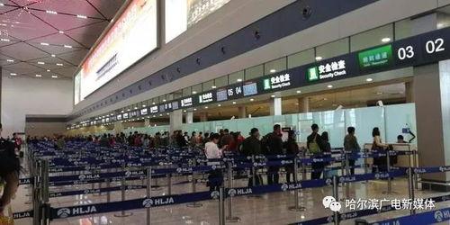哈尔滨航班爆料信息最新,揭秘航班延误背后的真相